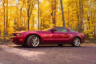 Car Handheld picture of a mustang car Z.A. Studios