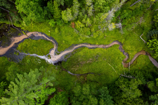Natural Spring Top down drone photo of a natural sping Z.A. Studios